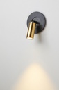 VOLTA WALL & CEILING LIGHT