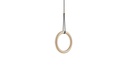 IVY I CLUSTER SUSPENSION