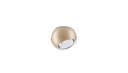 SPIDER CEILING LIGHT