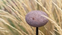 OOLITE FLOOR OUTDOOR