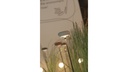 OOLITE FLOOR OUTDOOR