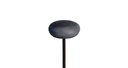 OOLITE FLOOR OUTDOOR
