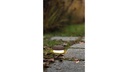 OOLITE TERRA FLOOR OUTDOOR