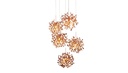 ARGENT MON BIJOU CLUSTER 5 LIGHTS 
