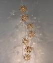 ARGENT MON BIJOU CLUSTER 7 LIGHTS  