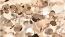 ARGENT MON BIJOU CLUSTER 7 LIGHTS  
