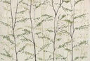 BOTANIKA COLLECTION – WOODS - MURAL 