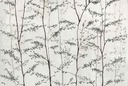 BOTANIKA COLLECTION – WOODS - MURAL 
