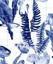 NATURE COLLECTION – BANK OF FISH – ROLL