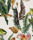 NATURE COLLECTION – BANK OF FISH – ROLL