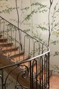 BOTANIKA COLLECTION – WOODS - MURAL 