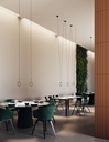 IVY I CLUSTER SUSPENSION