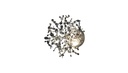 ARGENT MON BIJOU WALL