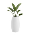 GOBI PLANTER 2