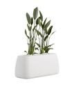 GOBI PLANTER 5