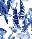 NATURE COLLECTION – BANK OF FISH – ROLL