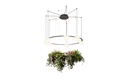 CIRC CHANDELIER 7 LIGHTS + ARTIFICIAL PLANTS