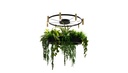 LAVERD CHANDELIER with PLANTS